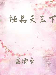 极品天王下载