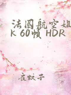 法国航空姐 4k 60帧 HDR