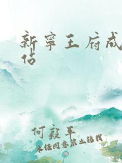 新宁王府成人网站