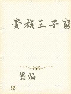 贵族王子穷公主