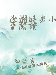 灿烂时光小说免费阅读