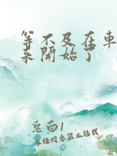 等不及在车里就来开始了