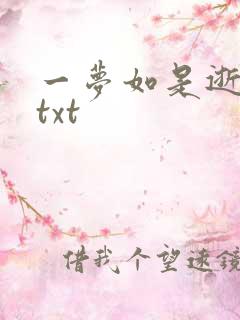 一梦如是逝水长txt