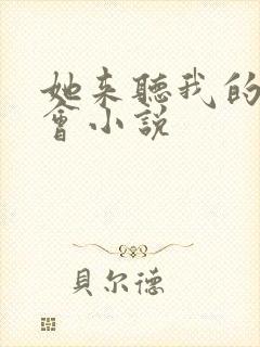 她来听我的演唱会小说