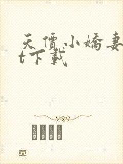 天价小娇妻txt下载