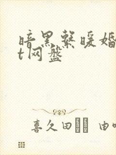 暗黑系暖婚txt网盘