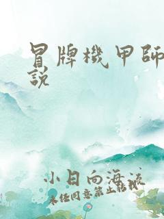 冒牌机甲师 小说