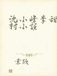 沈小峰李甜的乡村小说