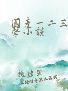 国产一二三区有声小说