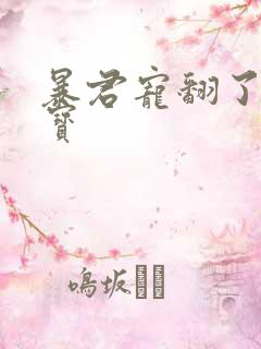 暴君宠翻了小娇宝