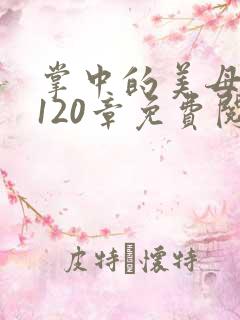 掌中的美母版主120章免费阅读