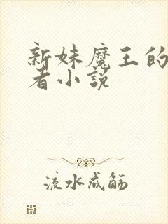 新妹魔王的契约者小说