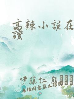 高辣小说在线阅读