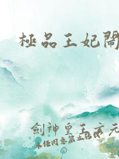 极品王妃闹王府