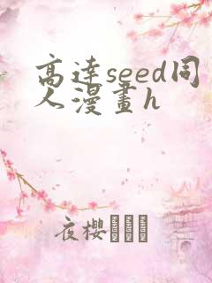 高达seed同人漫画h