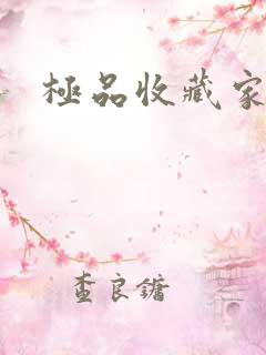 极品收藏家