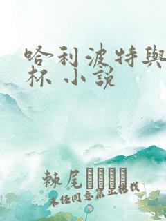 哈利波特与火焰杯 小说