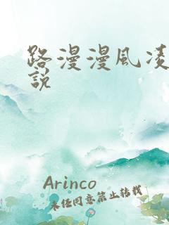 路漫漫风凌轩小说
