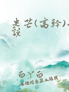 光芒(高干)小说