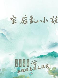 家庭乱小说