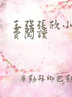 王强张欣小说免费阅读