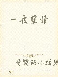 一夜孽情