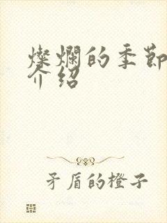 灿烂的季节剧情介绍