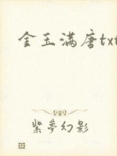 金玉满唐txt