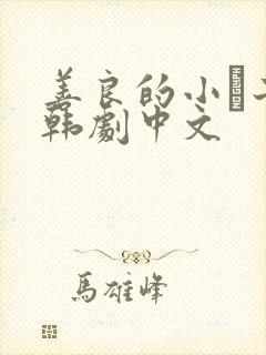 善良的小峓子2韩剧中文