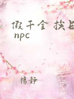 假千金 挨日记 npc
