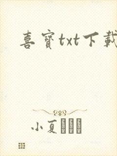 喜宝txt下载