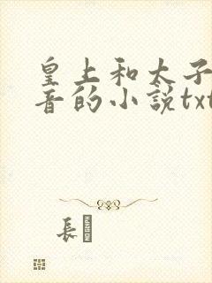 皇上和太子妃沈音的小说txt