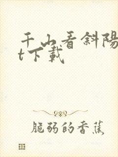 千山看斜阳txt下载