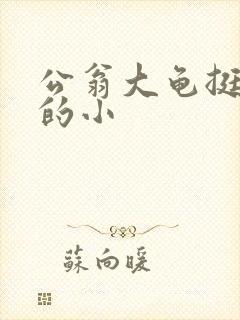 公翁大龟挺进我的小