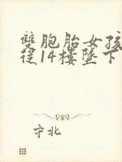 双胞胎女孩双双从14楼坠下