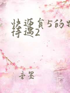 快递员5的特殊待遇2