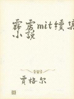 霹雳mit续集小说