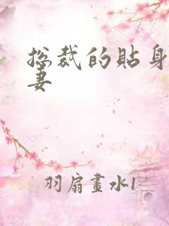 总裁的贴身下堂妻