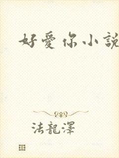 好爱你小说