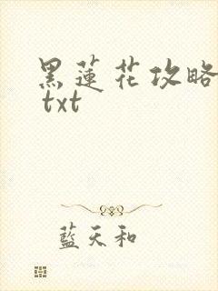 黑莲花攻略手册 txt