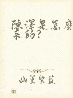 陈泽是怎么火起来的?