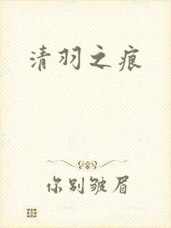 清羽之痕