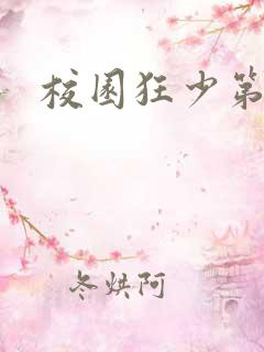 校园狂少第二部