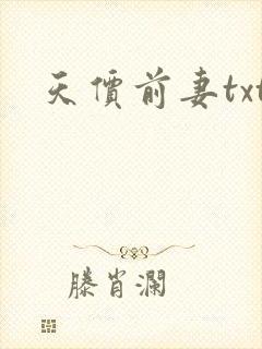 天价前妻txt