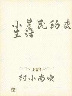 小农民的爽歪歪生活