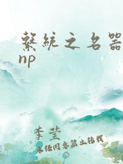 系统之名器攻略np
