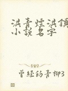 洪青烟洪镇国的小说名字