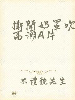 撕开奶罩吮奶头高潮A片