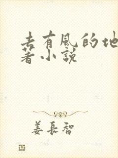 去有风的地方原著小说