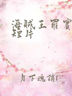 海贼王罗宾被h短片